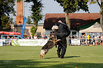 Duke vom Spektefeld