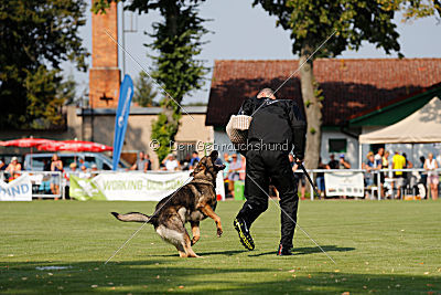 Duke vom Spektefeld