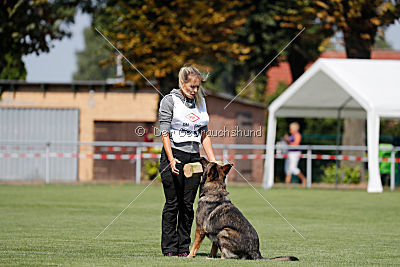 Duke vom Spektefeld