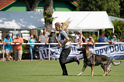 Duke vom Spektefeld