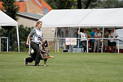 Duke vom Spektefeld