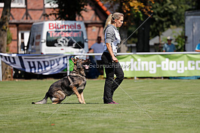 Duke vom Spektefeld