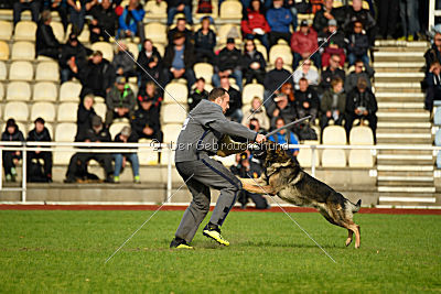 Duke vom Spektefeld