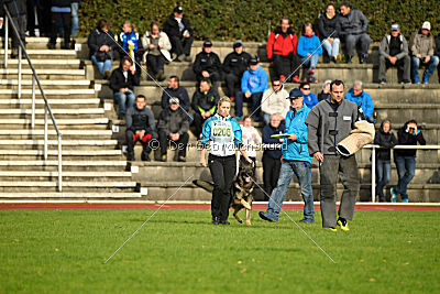 Duke vom Spektefeld