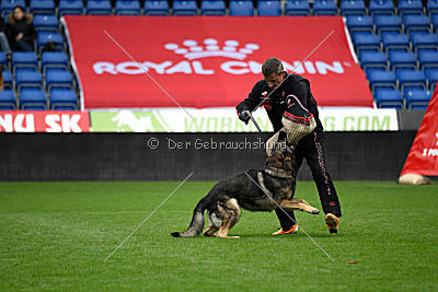 Duke vom Spektefeld