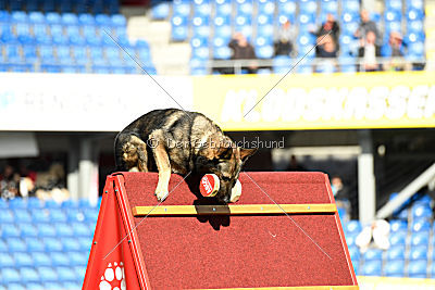 Duke vom Spektefeld