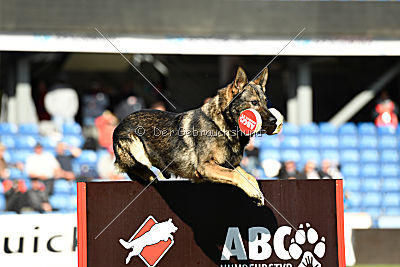 Duke vom Spektefeld