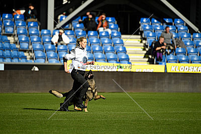 Duke vom Spektefeld