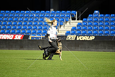 Duke vom Spektefeld
