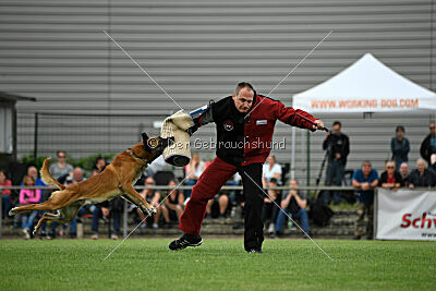 Duncan Dubalta vom Clan der Wölfe