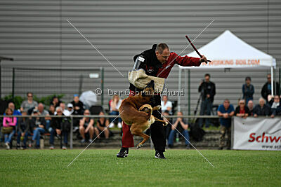 Duncan Dubalta vom Clan der Wölfe