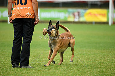 Duncan Dubalta vom Clan der Wölfe