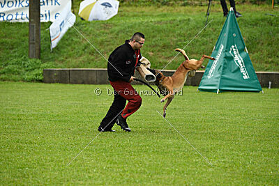 Duncan Dubalta vom Clan der Wölfe