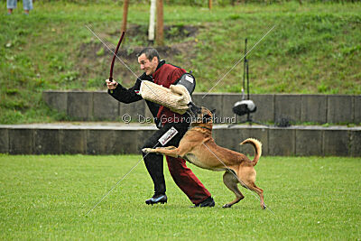 Duncan Dubalta vom Clan der Wölfe