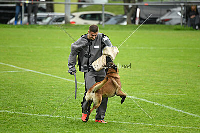 Dundee vom roten Drachen