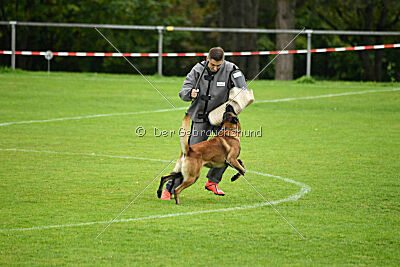 Dundee vom roten Drachen