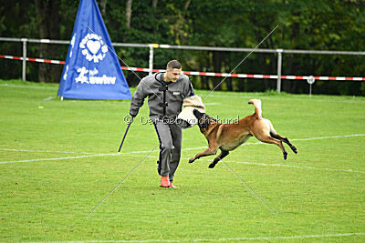 Dundee vom roten Drachen