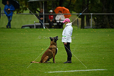 Dundee vom roten Drachen