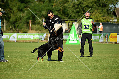 Dwaynetherock von den Barbaren