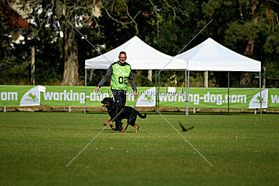 Dwaynetherock von den Barbaren
