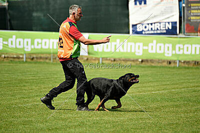 Dwaynetherock von den Barbaren