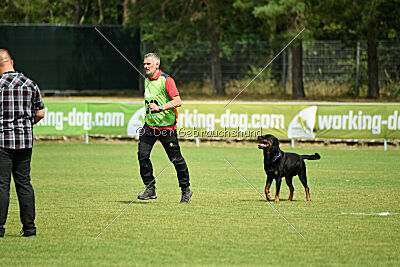 Dwaynetherock von den Barbaren