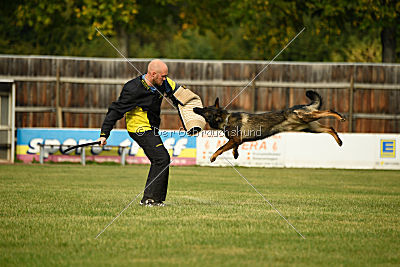 Dyson del Camino Duro