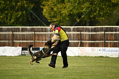 Dyson del Camino Duro