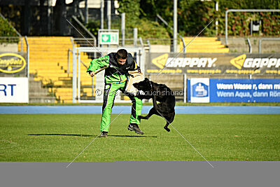 Ebby vom schwarzen Omen