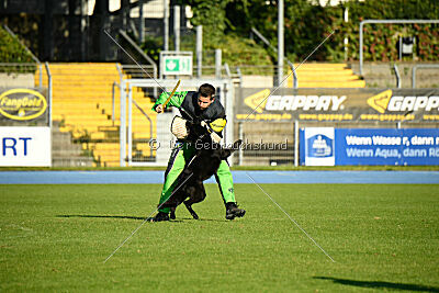 Ebby vom schwarzen Omen