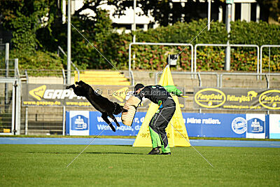 Ebby vom schwarzen Omen
