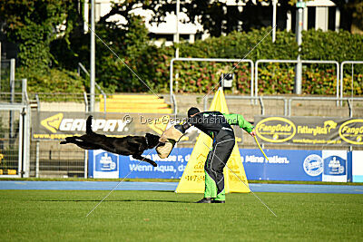 Ebby vom schwarzen Omen
