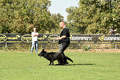 Ebby vom schwarzen Omen