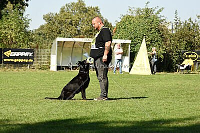 Ebby vom schwarzen Omen