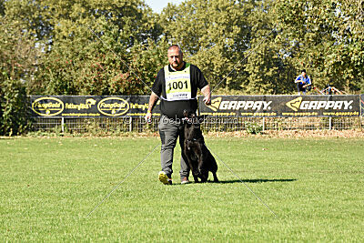 Ebby vom schwarzen Omen