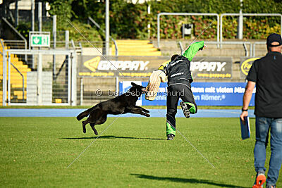 Ebby vom schwarzen Omen