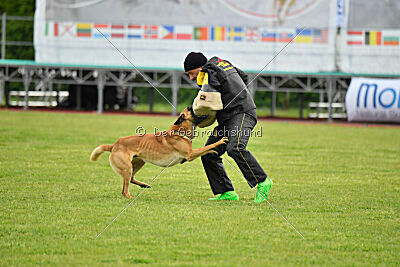 Eddard Stark Is Always Crazy