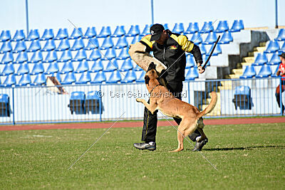 Eddard Stark Is Always Crazy