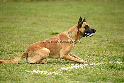 Eddard Stark is Always Crazy