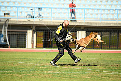 Eddard Stark is Always Crazy