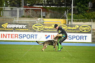 Eddi vom Niederbühler Tor