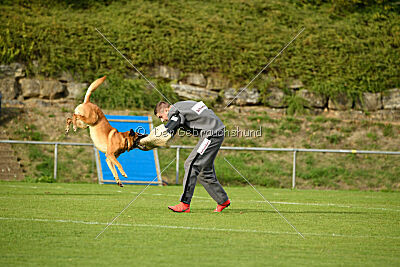 Eddie von Maliattack