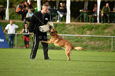 Eddie von Maliattack