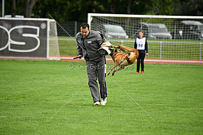 Eddie von Maliattack