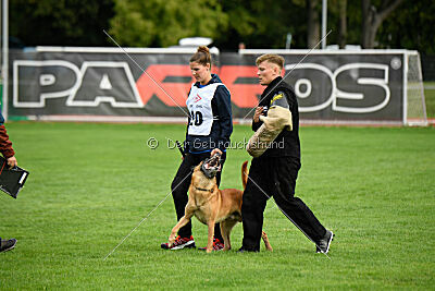 Eddie von Maliattack