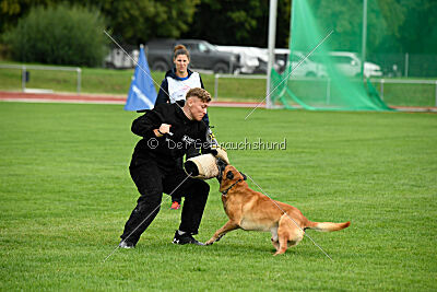 Eddie von Maliattack