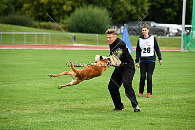 Eddie von Maliattack