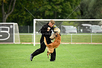 Eddie von Maliattack