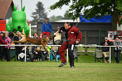 Eddy von der Katzenhecke