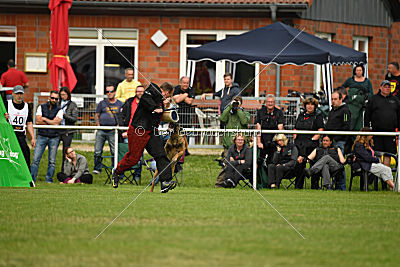 Eddy von der Katzenhecke